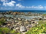 Punta Galindez - VIEQUES